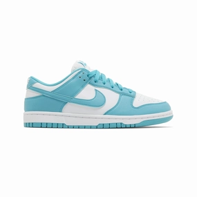 Grip Control All Rounder Nike Dunk Low Next Nature 'Dusty Cactus' Women's (2024)