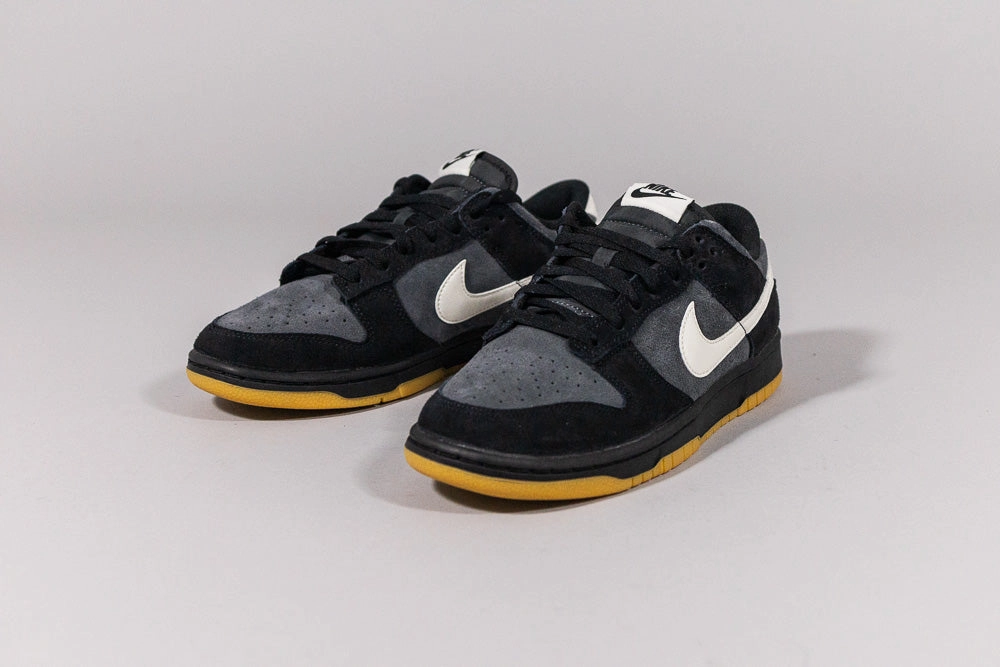 Freedom Walk Nike Dunk Low SE 'Black and Anthracite Gum'