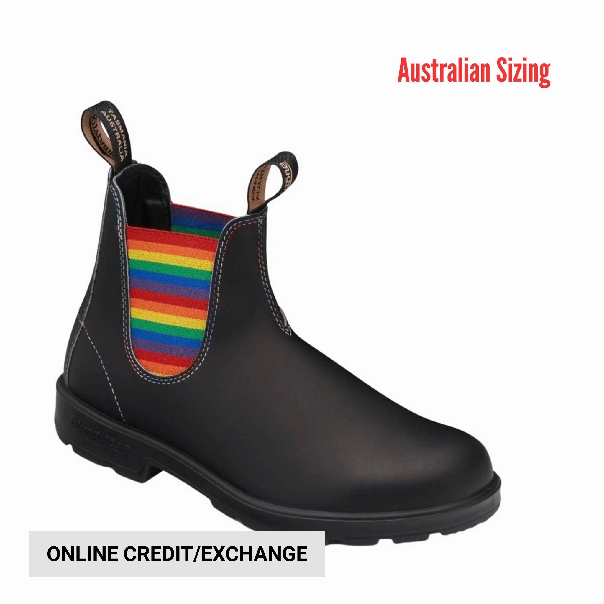 Protective Finish All Day Worker Blundstone Original 500 Chelsea Boots - Rainbow