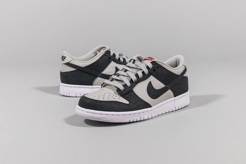 Nike Dunk Low 'Anthracite' (GS) - FZ1000-001 Abrasion Resistant Toe
