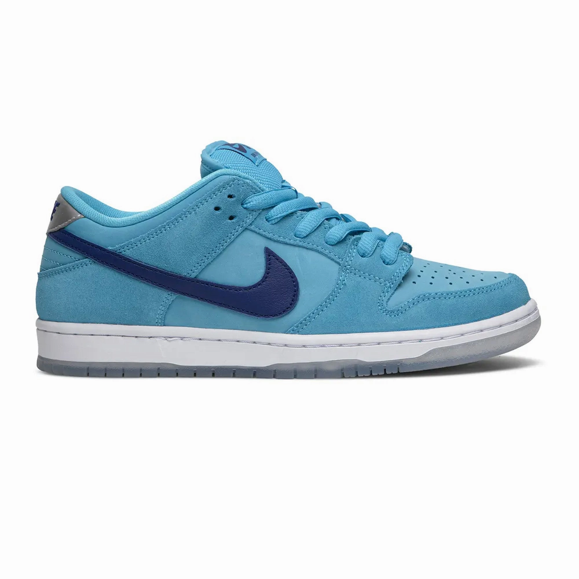 Sleek Form Style Tour Nike SB Dunk Pro Low 'Blue Fury'