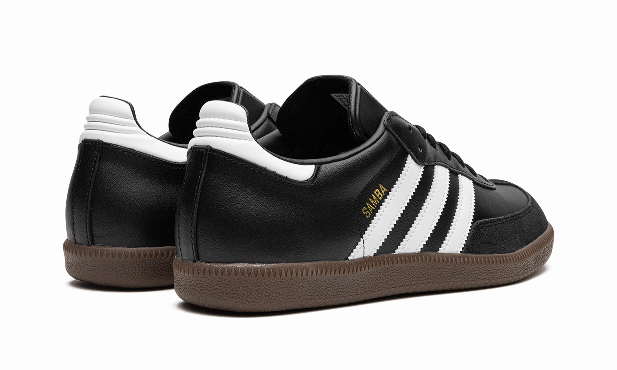 Samba mules Daily Mood