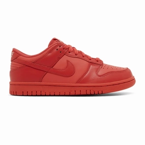 Nike Dunk Low 'Track Red' GS (2023) Wild Jog Skill Hike